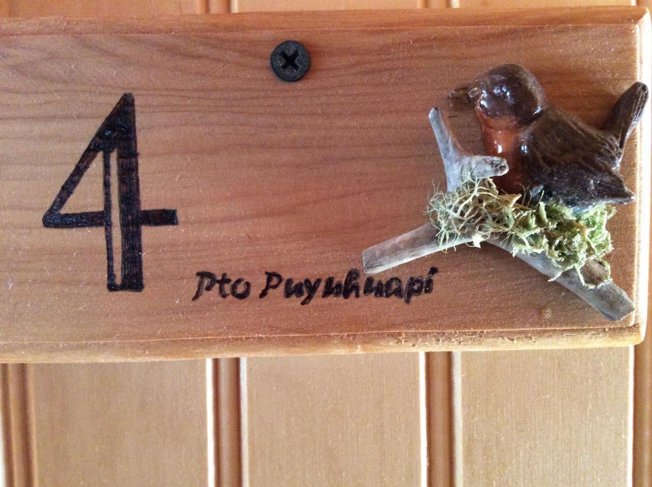 Los Manios Del Queulat Puyuhuapi 外观 照片
